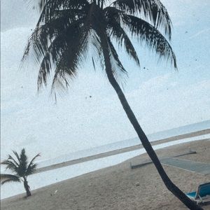 Meet your Posher, Siena